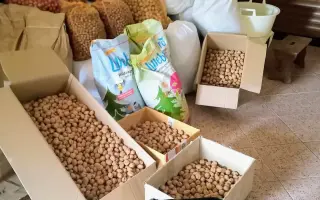 POMOC PRO FOXÍČKA, ASPENA A TAFFY-JACKA