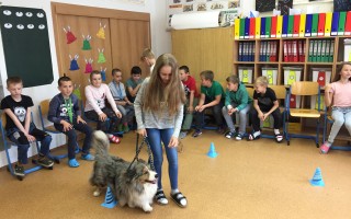Canisterapie CANTES v krajích ČR jako sociální rehabilitace