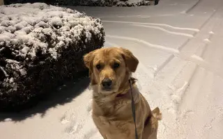 Malý Timmy si zaslouží život bez bolesti