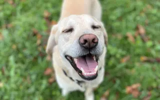 Pomozme Timmymu znovu stát na vlastních nohách.