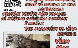 Nová karanténa pro kočičky ze Dvora Králové