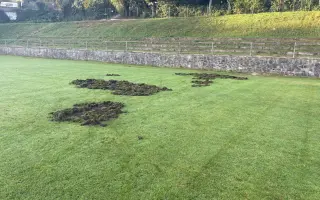 Oplocení fotbalového hřiště proti divokým prasatům