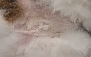 9 nalezených Lásek