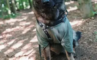 Pomoc Furině v boji s lupusem (SLE)