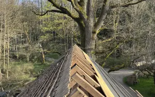 Podpořili jste Plášilovu novou střechu