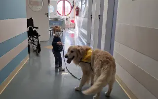 Auto pro Filípka (3) s leukémií na cesty do nemocnice