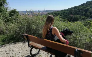 Pomozme Rozie dál žít šťastný život
