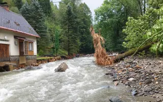 Přispějte na vznik unikátního apidomku v Jeseníkách