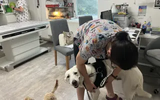 Pomozte udržet domov pro psí seniory