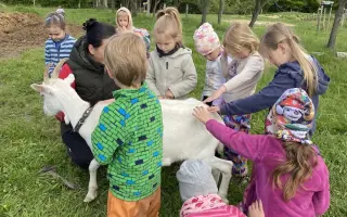 Pomozte Světélkům zazářit