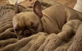 Archie bojuje. A my s ním ♥️