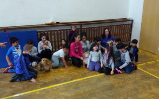 Canisterapie CANTES v krajích ČR jako sociální rehabilitace