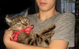 Léčba čtyřnohé kamarádky mého syna