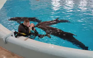 Delfinoterapie pro Ríšu