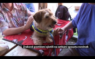 Canisterapie CANTES v krajích ČR jako sociální rehabilitace
