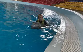 Pomozme Lukáškovi k léčivé síle delfínů