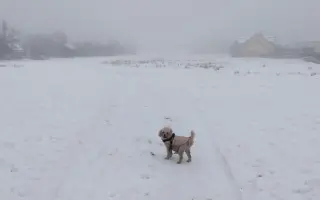Spřízněné duše – léčba pro maxi a mini fenku ❤️