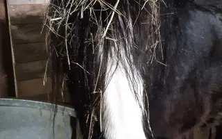 HAŠLERKA BOJUJE O ZRAK: Urgentní zákrok k záchraně jejího oka.