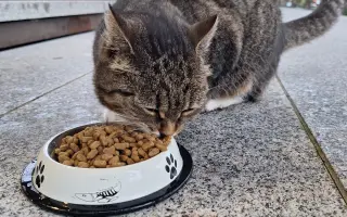 8 nalezených Lásek