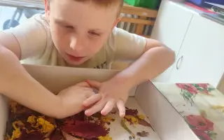 Pomoc pro Vašíčka – terapie a rozvoj samostatnosti