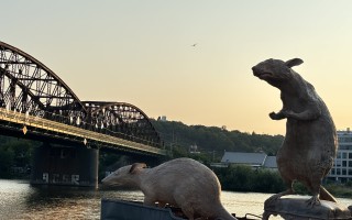 Jsme na jedné lodi a plujeme dál