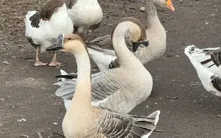 Pomozme společně obnovit zničenou farmu a živobytí farmáře Vládi!