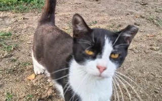 ❤️ Zachránit nestačí. Pomozte nám postarat se o ně dál...