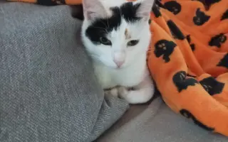 Pomoc Mimi-Míně porazit smrtelnou nemoc