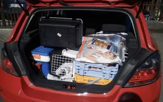 Pomozte nám pořídit útulkové auto pro převozy zvířátek v nouzi