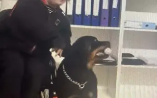 Pomozme Lucce překonat těžké období