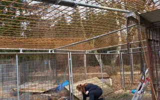 Pomáháme rotvíkům lépe bydlet
