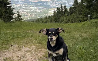 Pomozte Elíčkovi zvládnout náročnou léčbu