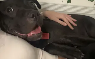 (⁠✿⁠ ⁠♡⁠‿⁠♡⁠)  Pro Koru, aby mohla opět běhat