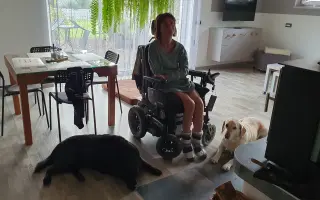 Sbírka pro Veroniku