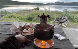 Vydejte se mnou knihu Hledání domova na stezce svatého Olafa