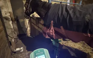 Pomozme Kokosovi znovu běhat