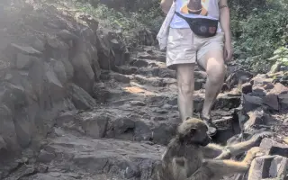 Ivka, Johanka a Honza opět v Zambii – učíme laskavý přístup k dětem s postižením