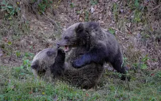 Z nuly zpět za hledáček - aneb nový začátek po velkém pádu