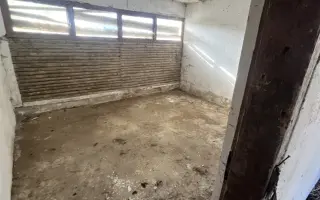 Pomozte nám vybudovat Centrum pomoci zvířatům QUEEN