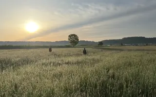 Nebeský štít - oko, které zachraňuje!