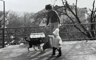 Když auto znamená svobodu