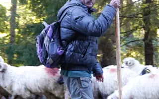 Z nuly zpět za hledáček - aneb nový začátek po velkém pádu