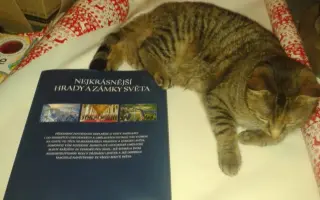 Pomozte kočičce Líze porazit lymfom!