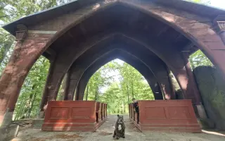 Pomozme Ele opět poznávat svět