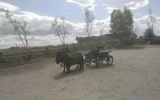 Kočár pro jezdecký oddíl