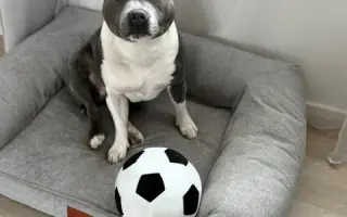 Arískovi jsou teprve 4 roky, pomozme mu v boji s rakovinou