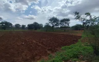 Pomoz nastartovat udržitelnou budoucnost pro komunity v Tanzanii ohrožené suchem