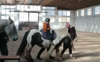 Naděje pro Vašíka