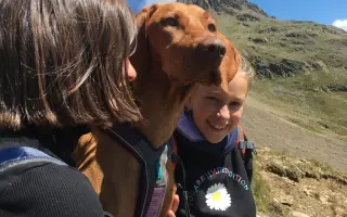 Pomoc pro Molde – fenku maďarského ohaře po vážném úrazu