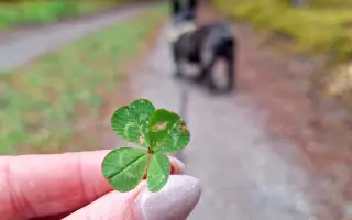 10 let nestačí – pomozme Mailovi dál❤️
